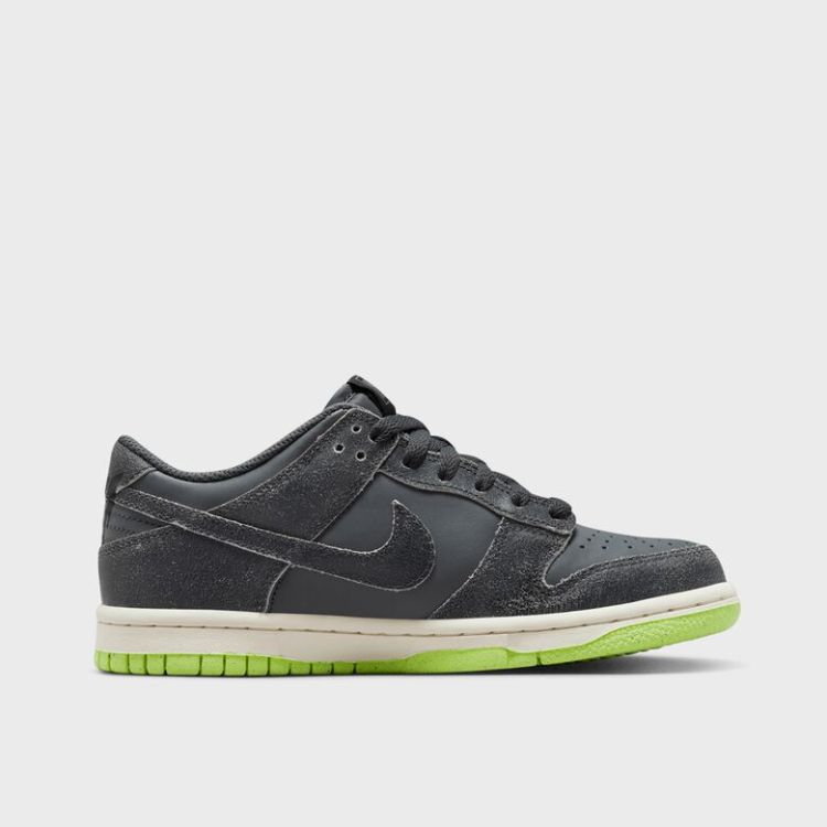 Dunk Low SE (GS)