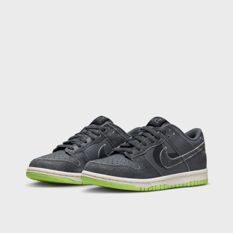 Dunk Low SE (GS)