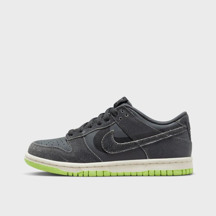 Dunk Low SE (GS)