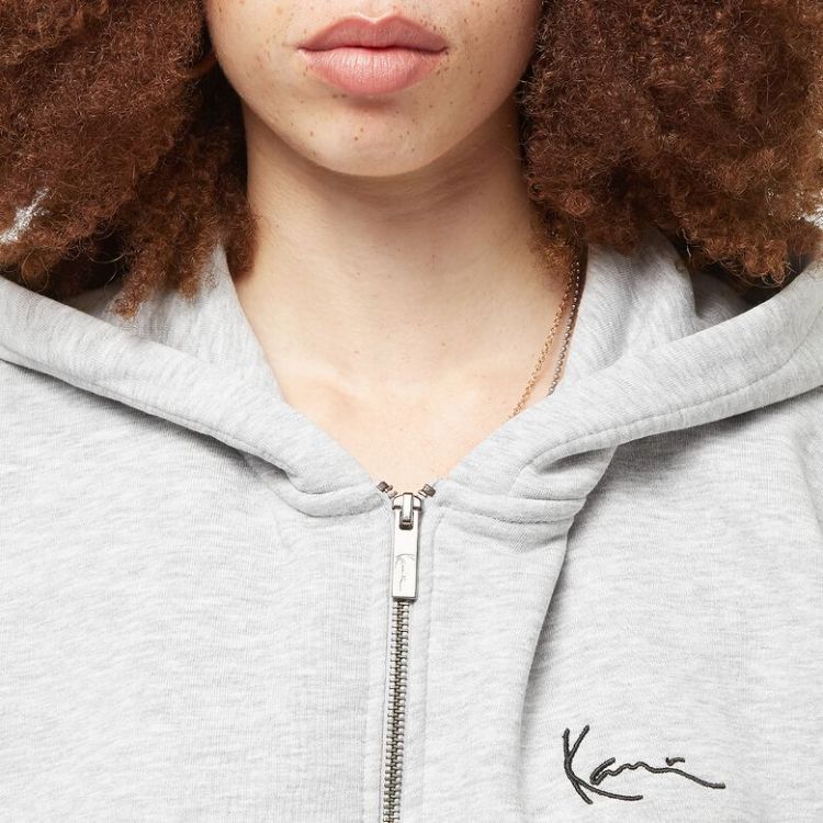 Chest Signature Essential Zip Hoodie