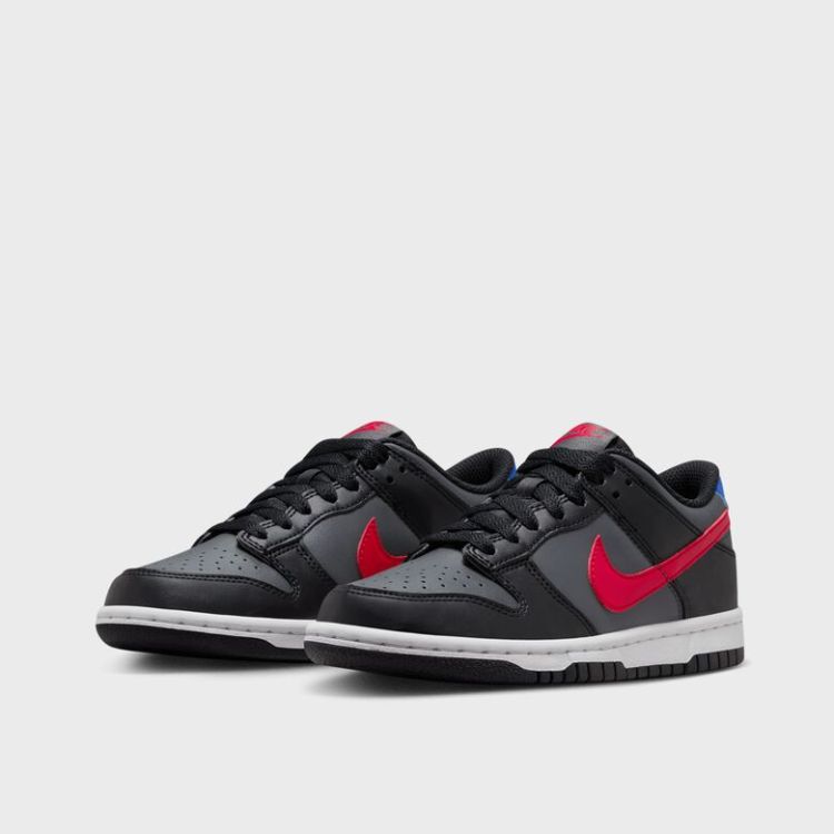 Dunk Low (GS)