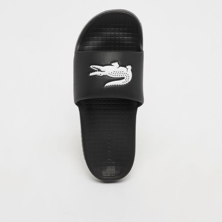 Croco 1.0 123 1 CMAn