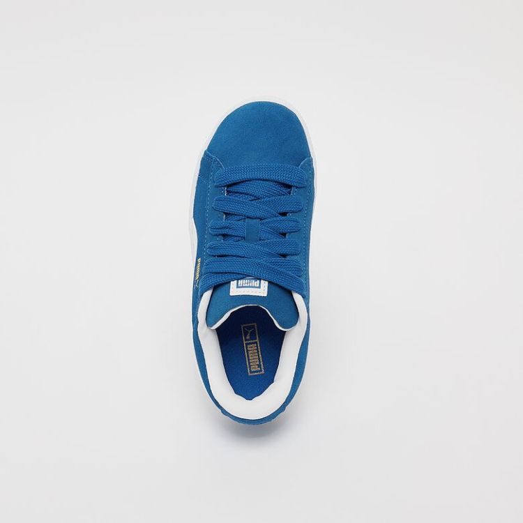 Suede XL (PS)