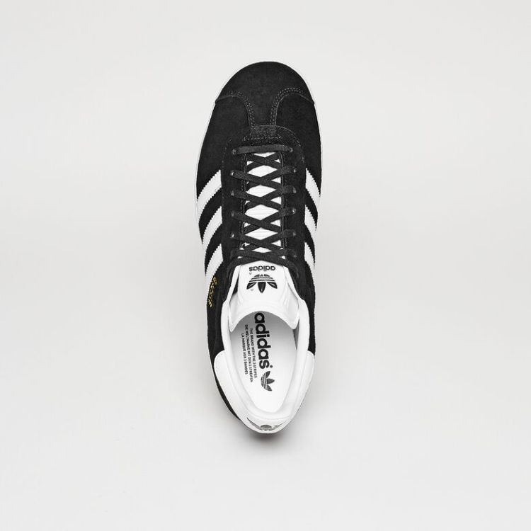Gazelle