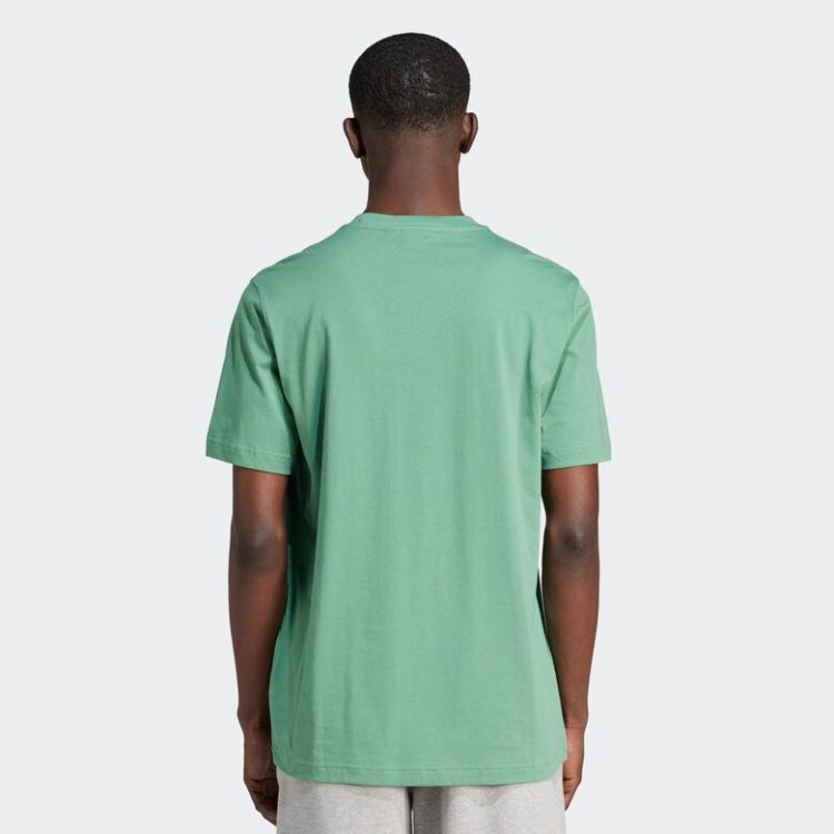 T-Shirt Essentials