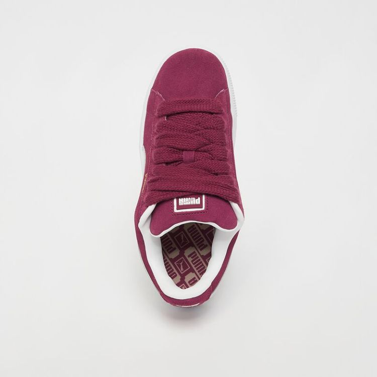 Suede XL