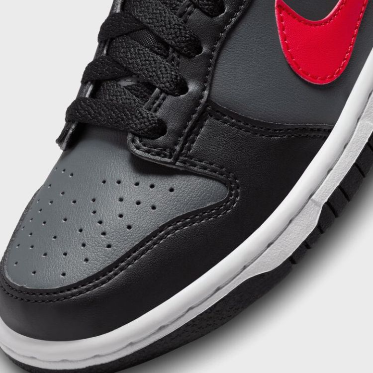 Dunk Low (GS)
