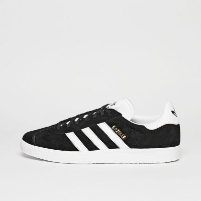 Gazelle