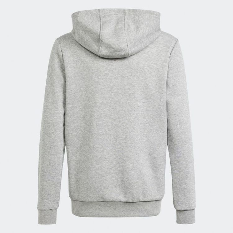 Sudadera con Capucha Varsity